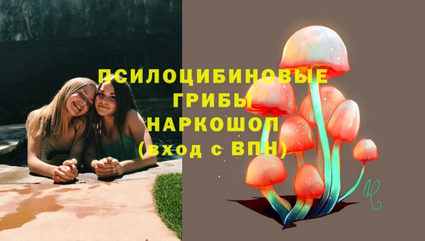 мескалин Козельск