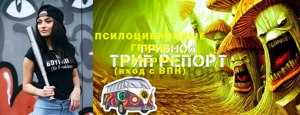 круглые Козловка