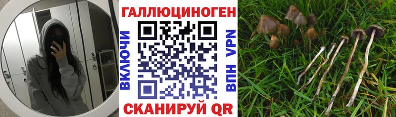 Галлюциногенные грибы мицелий это как зайти Циолковский